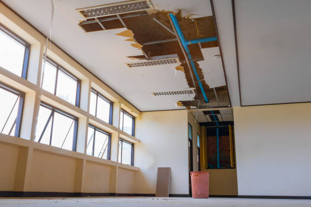 Best Water damage restoration near me  in North Crossett, AR