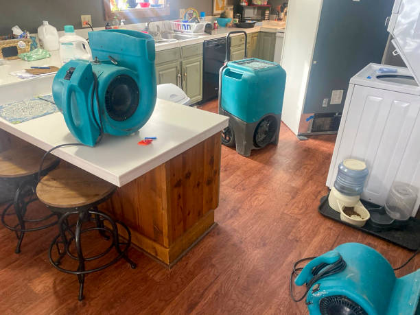 Best Sewage cleanup and water damage restoration  in North Crossett, AR