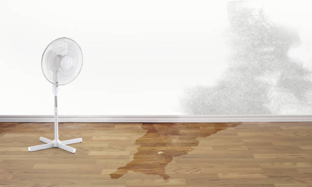 Water damage restoration mold remediation in North Crossett, AR