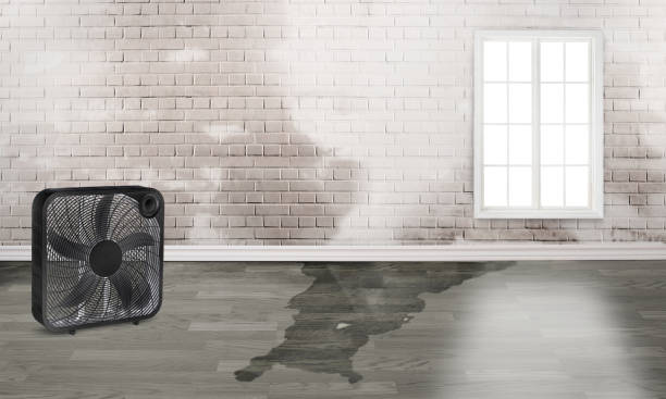 Reliable North Crossett, AR Water damage restoration Solutions