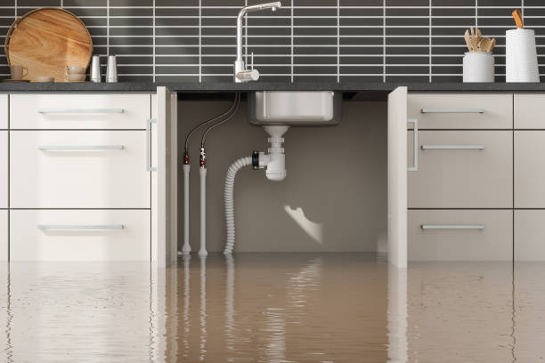 Best Professional water damage repair  in North Crossett, AR