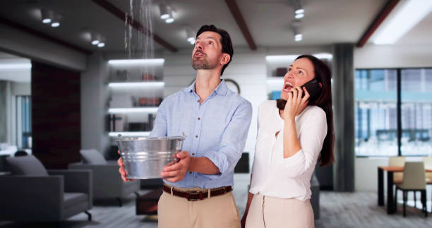 Best Carpet water damage restoration  in North Crossett, AR